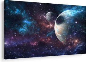 Tablou cu cosmos (90x60 cm)