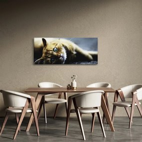 Tablou cu pisica (120x50 cm)