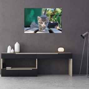 Tablou cu pisicuțe (90x60 cm)
