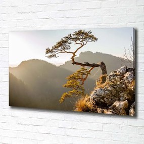 Imprimare tablou canvas Pieniny sokolica
