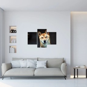 Tablou cu câine (90x60 cm)