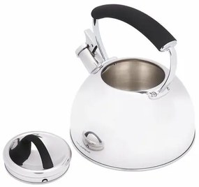 Florina Ceainic Asta, 2,3 l