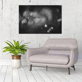 Tablou - Iarbă de pajiște (90x60 cm)