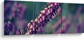 Tablou cu lavanda (cu ceas) (90x30 cm)