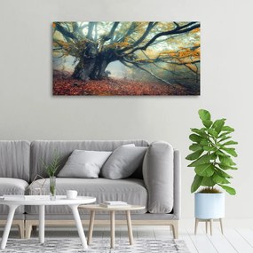 Tablou pe pânză canvas Copac vechi