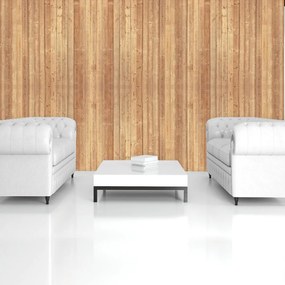 Fototapet - Textura - scănduri de lemn (152,5x104 cm)