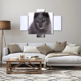 Tablou cu vulpe polară (150x105 cm)