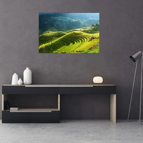 Tablou - Concert Terase de orez (90x60 cm)