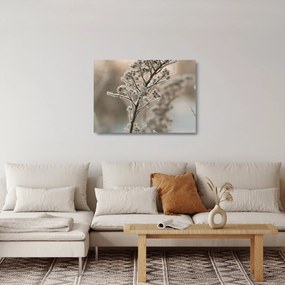 Tablou pe sticlă - Plantează în îngheț (70x50 cm)