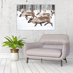 Tablou - Renul (90x60 cm)