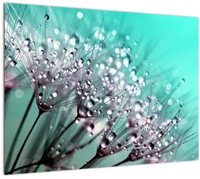 Tablou pe sticlă - planta cu rouă (70x50 cm)