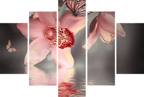 Tablou - Flori și fluture (150x105 cm)