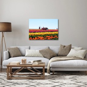 Tablou cu farma de lalele (70x50 cm)