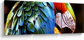 Tablou - Papagal (cu ceas) (90x30 cm)