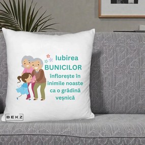 Cadou pentru Bunici - Perna Personalizata Bunicii Iubirea Infloreste cu Nepoata Teal, 40x40 cm, Alb Pufos, Husa Detasabila, Perna Inclusa, BEKZ®