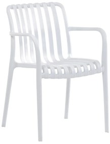 Set de scaune de sufragerie CT-X7029 WT, 4 buc
