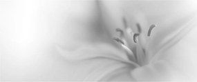 Tablou - Crin delicat (120x50 cm)