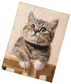 Pătură pentru copii BedTex Pisicuță Zornăitoare, 150 x 200 cm