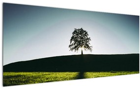 Tablou cu natura - copac (120x50 cm)