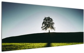 Tablou cu natura - copac (120x50 cm), în 40 de alte dimensiuni noi