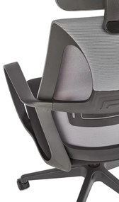 Scaun de birou Valdez, gri / negru