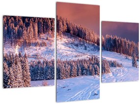 Tablou - Peisaj de iarnă (90x60 cm)