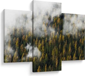 Tablou - Pădure în nori (90x60 cm)