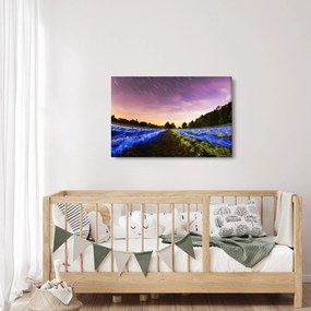 Tablou cu câmp colorat (90x60 cm)