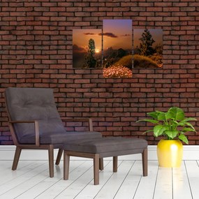 Tablou naturii cu apus de soare (90x60 cm)