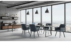 Scaun de sufragerie AMELIA gri