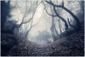 Tablou - Pădurea în ceață (90x60 cm)