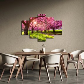 Tablou - Cireși înfloriți, Hurd Park, Dover, New Jersey (150x105 cm)