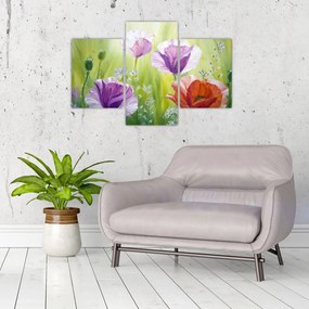 Tablou - Maci (90x60 cm)