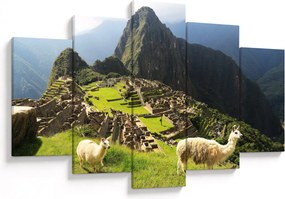 Tablou - Lame in Machu Picchu (150x105 cm)
