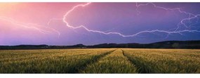 PUZZLE PANORAMA FULGER, 500 PIESE - RAVENSBURGER (RVSPA17491)