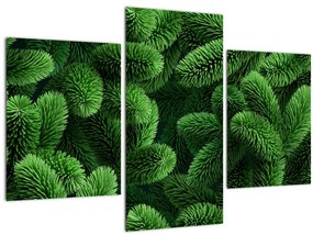 Tablou - Ramuri de conifere (90x60 cm)