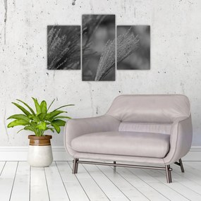Tablou - Iarbă de pampas uscată (90x60 cm)