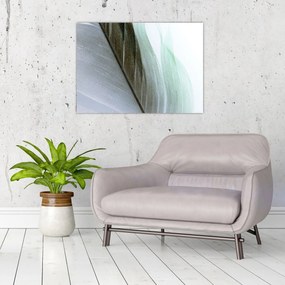 Tablou - Pene, macro (70x50 cm)