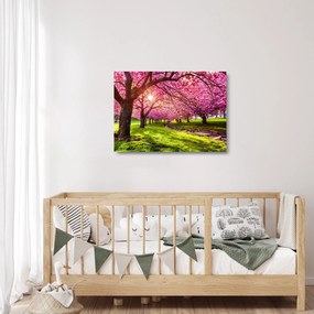 Tablou pe sticlă - Cireși înfloriți, Hurd Park, Dover, New Jersey (70x50 cm)