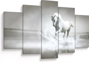 Tablou - Cal alb (150x105 cm)