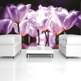 Fototapet - Flori - tonul violet (152,5x104 cm)