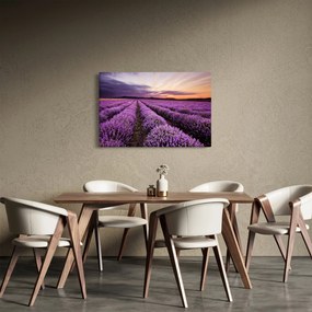 Tablou - Câmp de lavandă la apus de soare (90x60 cm)