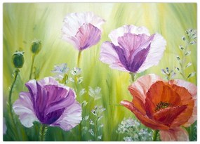 Tablou - Maci (70x50 cm)