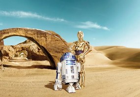 Fototapet Star Wars R2D2 si C3PO