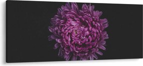 Tablou cu floare violetă (120x50 cm)
