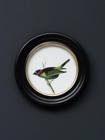 Set 3 tablouri, Colored Birds