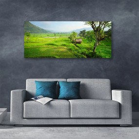 Tablou pe panza canvas Meadow Natura verde