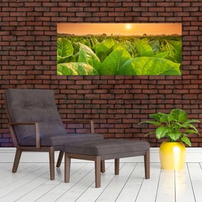 Tablou - Câmp (120x50 cm)