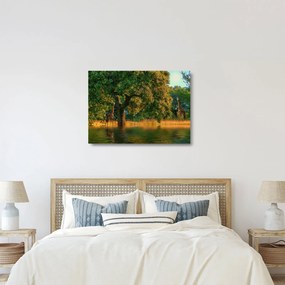 Tablou pe sticlă cu girafe în natură (70x50 cm)