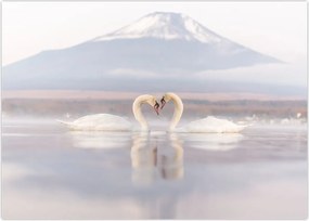 Tablou - Lebede îndrăgostite (70x50 cm)